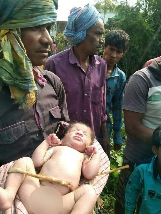 Köylüler çalılıkların arasındaki yavru köpeklerin misafirini görünce hüngür hüngür ağladı! Hemen polisi aradılar