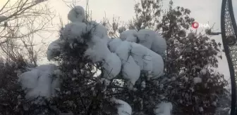 Karlıova'da kar yağışı yerini soğuğa bıraktı