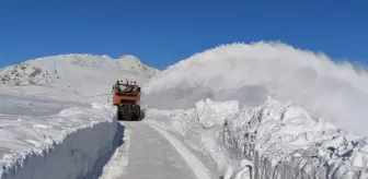 Başkale ilçesinde kar nedeniyle kapanan yollar açılıyor