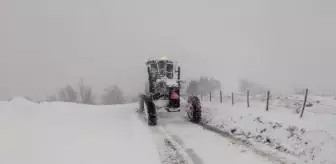 Doğu Karadeniz'de kar esareti; 366 yol kapandı