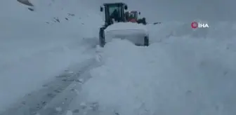 Van-Bahçesaray yolu yeniden ulaşıma açıldı