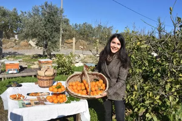 Babaannesinden yadigar kalan bahçede organik tarımla yetiştirdiği mandalina birinci oldu