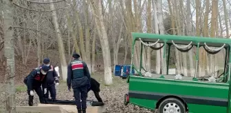 Silivri'de mesire yerinde yanmış kadın cesedi bulundu