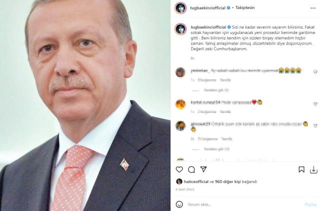 Tuğba Ekinci, 'Köpeklerin toplanmasını istiyorum' diyen Erdoğan'ın kararına karşı çıktı: Sizi severim fakat garibime gitti