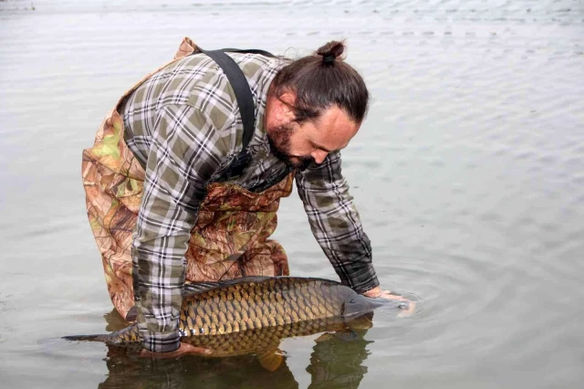 Amatör balıkçılar oltayla 22 kiloluk dev sazan balığı yakaladı