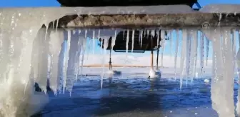 Dondurucu soğuklar etkili oluyor