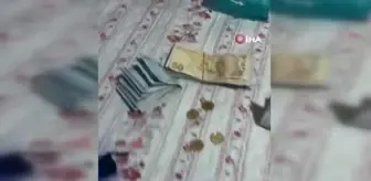 FETÖ'nün finans yapılanmasındaki 11 şüpheliye gözaltı kararı
