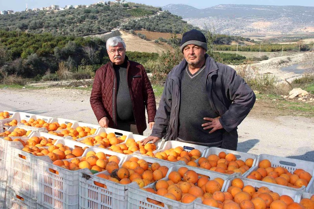 Üretici de tüketici de aynı dertten muzdarip! Dalında 1,5 lira olan portakal, zincir markette 5,90 Üretici de tüketici de aynı dertten muzdarip! Dalında 1,5 lira olan portakal, zincir markette 5,90