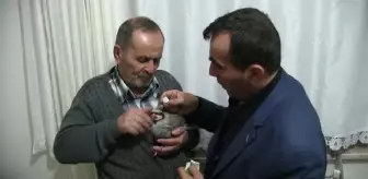 KAHRAMANMARAŞ - Bitkin halde bulunan keklik katarakt teşhisiyle ameliyat edildi