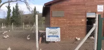 Konukevinde sıkıntılarından arınıp yeni bir hayata kavuştu