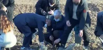 Troya Ören Yeri'ne gelen yerli ve yabancı turistleri lavanta tarlaları karşılayacak