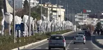 Kuşadası'nda ağaçlara özel koruma