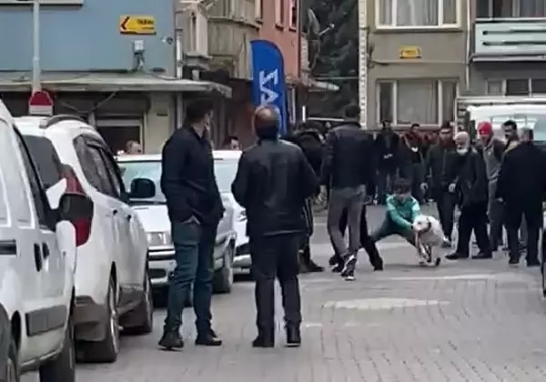 Kavgada kalabalığın üzerine beslediği pitbullu saldı! 3 kişinin yaralandığı olay kamerada