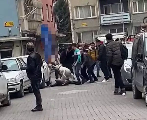 Kavgada kalabalığın üzerine beslediği pitbullu saldı! 3 kişinin yaralandığı olay kamerada