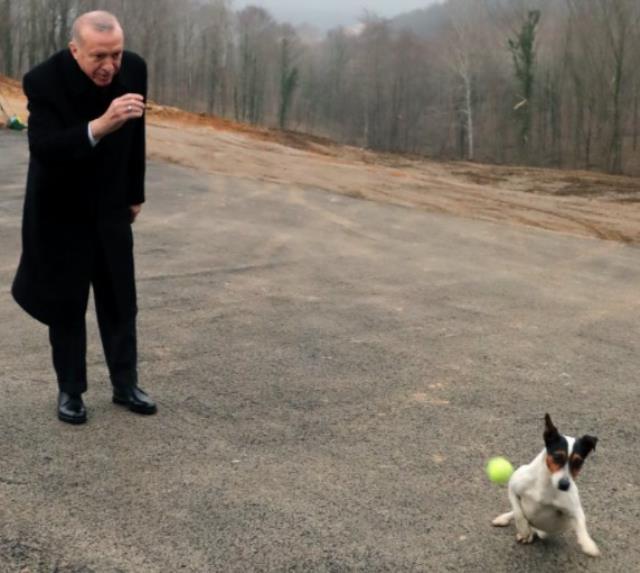 Cumhurbaşkanı Erdoğan, oyun oynadığı köpeği çok sevdi: Sahiplenebilirim