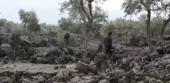 Zeytin çekirdeğinden tespih yapımını 76 yıldır sürdürüyor