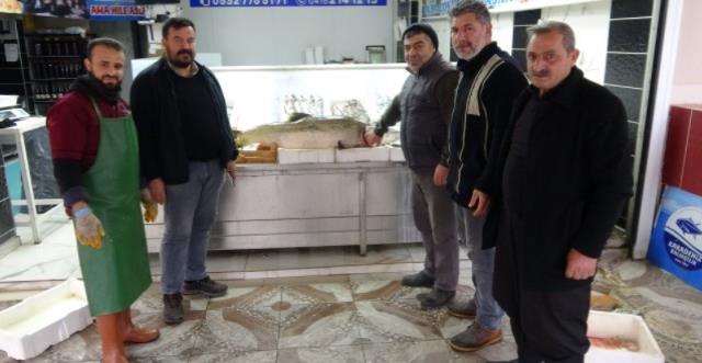 Atatürk Barajı'nda 30 kiloluk turna balığı yakalandı