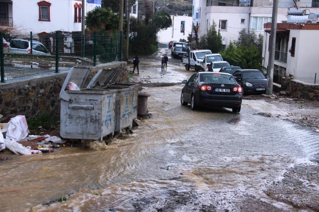 Bodrum'u sel vurdu! Evleri su bastı, sokak hayvanları boğuldu