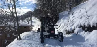 Doğu Karadeniz'de 219 köy yolu kardan kapandı; 5 ilçe ve 1 kentte okullar tatil