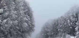 Domaniç Dağları'nda kar, buzlanma ve sis etkili oldu