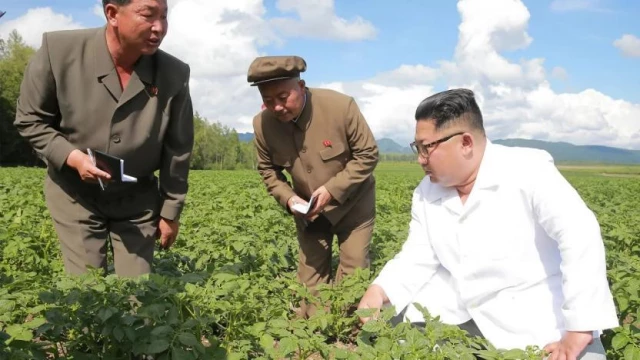 Kim Jong-Un'dan halkına yeni talimat: Kendi dışkınızı gübre olarak kullanın
