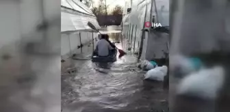 Üreticiler, sular altında kalan seraları için kürek çekti