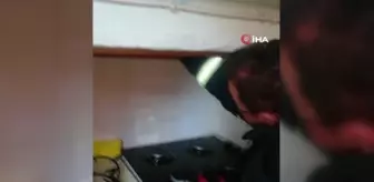 Bacada mahsur kalan güvercini itfaiye kurtardı