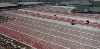 Kuru domates ihracatı 100 milyon dolara yaklaştı