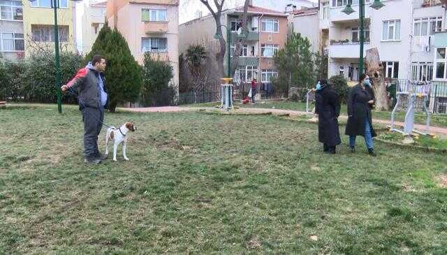 Otizmli gencin köpeği öldürüldü, mahalle karıştı