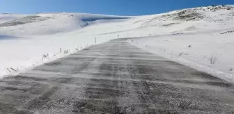 Doğu'da kar ve soğuk hava, hayatı olumsuz etkiliyor (2)