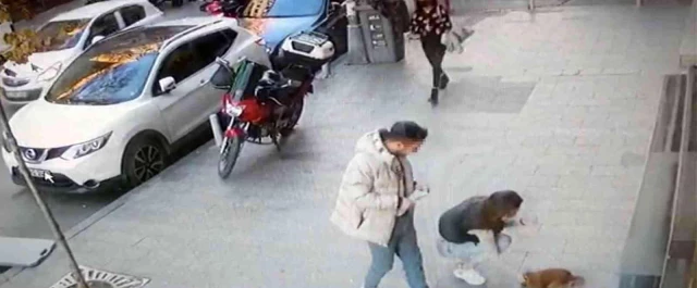 İstanbul'da ilginç köpek hırsızlığı kamerada: Sevgili çift 'Badem'i' severek çaldı