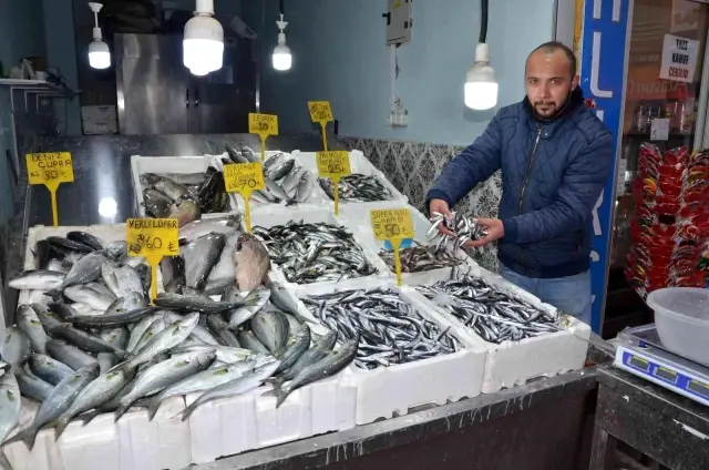 Yerli hamsi tezgahlara pahalı çıktı: Kilosu 50 liradan satılıyor