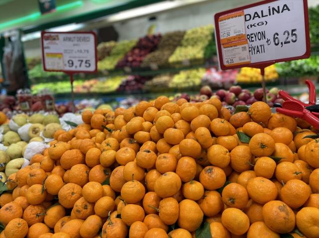 Narenciye sektörü, bahçe ile market arasındaki yüksek fiyat farkından şikayetçi Narenciye sektörü, bahçe ile market arasındaki yüksek fiyat farkından şikayetçi
