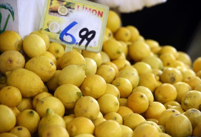 Narenciye sektörü, bahçe ile market arasındaki yüksek fiyat farkından şikayetçi Narenciye sektörü, bahçe ile market arasındaki yüksek fiyat farkından şikayetçi