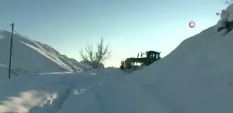 Şırnak'ta kapalı yollar eksi 20 derecede açılıyor