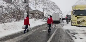 Hakkari'de 346 yerleşim yerine ulaşım yok (2)