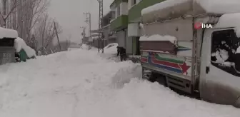 Şırnak'ta ağaçlar kırıldı, araçlar karda kayboldu, 30'a yakın köy yolu ulaşıma kapalı