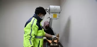 Ağır yaralanan köpek için İtfaiye ekipleri seferber oldu
