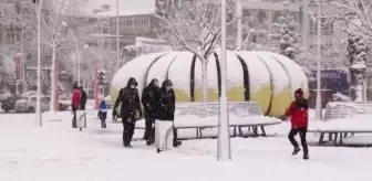 Sapanca'da kar manzarası havadan görüntülendi