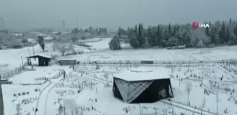 'Kuş Oteli' Hersek Lagünü beyaza büründü