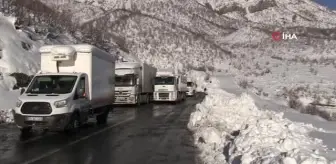 Şırnak-Hakkari karayolunda araçlar karda mahsur kaldı