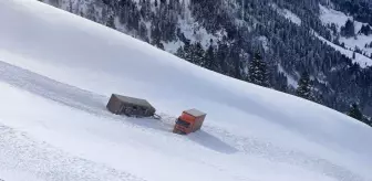 Kar ve tipi nedeniyle iki tır yoldan çıkarak uçuruma sürüklendi