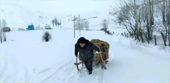 Bingöl'de besicilerin çetin kış şartlarına rağmen zorlu mesaisi sürüyor