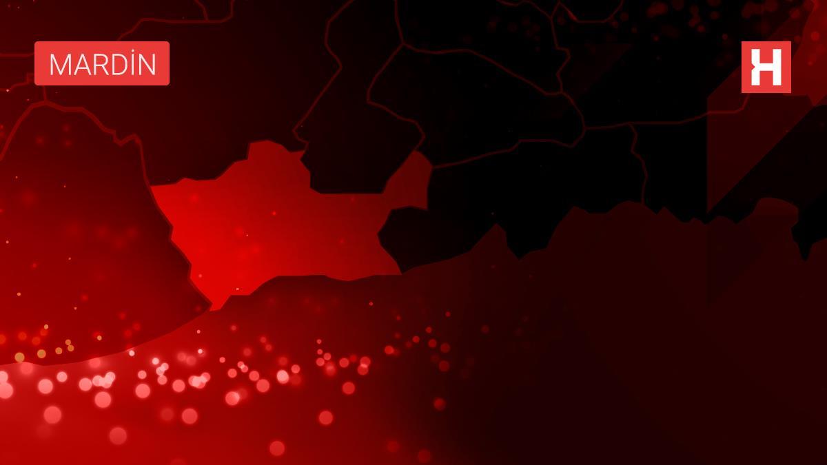 Mardin'de terör operasyonu: 12 gözaltı