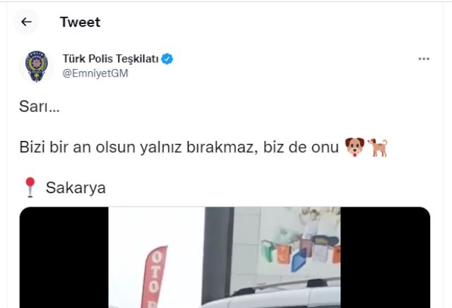 Türk Polis Teşkilatı yine yürekleri ısıttı! Sakarya'dan gelen manzarayı görenler duygulanıyor Türk Polis Teşkilatı yine yürekleri ısıttı! Sakarya'dan gelen manzarayı görenler duygulanıyor