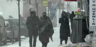 Erzurum'da kar ve tipi etkili oluyor