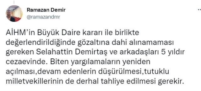 AİHM'den Demirtaş ve HDP'li vekiller hakkında 'dokunulmazlık' kararı: Anayasaya aykırı