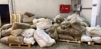 İzmir'de tarihi operasyon: Kaçak sigara fabrikası kurmuşlar