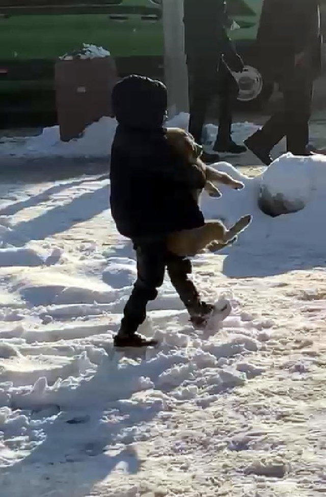Yürek ısıtan görüntüler! Küçük çocuk, yavru sokak köpeğini sırtında taşıyıp sahip çıktı Yürek ısıtan görüntüler! Küçük çocuk, yavru sokak köpeğini sırtında taşıyıp sahip çıktı