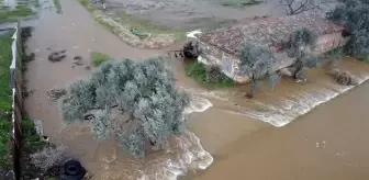 Tire'de yeraltı barajı taştı, tarlalar ve çiftlikler su altında kaldı